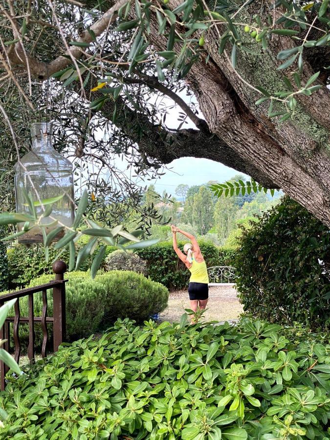 Le Manoir De L'Etang Hotel Mougins Ngoại thất bức ảnh